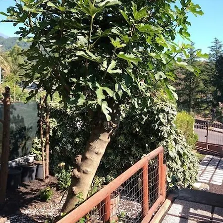 Loft Sotto Il Vulcano, Con Posto Auto Privato 別荘 *